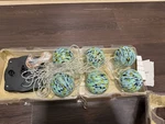 Allsop Aurora Glow Glass String Lights Sea White Led #29849 Rare. Fixed Price $79.99.