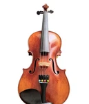 Lumina Student Violin Rozanna 4/4 Acoustic Wood Color Coded Tailpiece. Fixed Price $395.00.