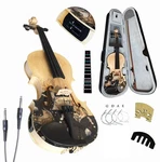 Electric Acoustic Violin 4/4 Full Size Beginner Set Hard Case Bow Aliyes Special. Fixed Price $179.99.