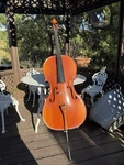 Knilling Bucharest 157F 4/4 Cello Gigbag Free Delivery Within 20 Miles. Fixed Price $500.00.