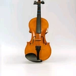 Stagg Vn-l Series Student Violin Outfit 4/4. Fixed Price $107.99.
