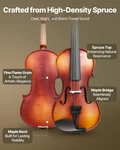 Violin 4/4 Full Size For Adults, Fiddle Set Beginners Student With. Fixed Price $88.35.