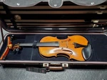 Amber Strings Giovanni Rosso 4/4 Violin - 2016 (P03018630). Fixed Price $716.00.