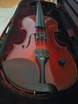 Zeta Acoustic Pro Violin. Fixed Price $2500.00.