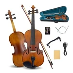 Electric Acoustic Violin 4/4 Maple Spruce,ebony Fittings With Case, Bow. Fixed Price $155.00.