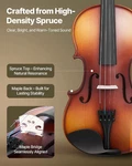 Violin 4/4 Full Size For Adults, Fiddle Set Beginners Student With Ha. Fixed Price $110.59.