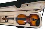 Cecilio CVN-300 Solid Wood Violin 4/4 Full Size With Bow And Hard Case Outfit. Fixed Price $200.00.