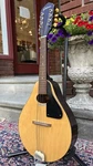 1970 Sekova Mandolin (vintage, Pro Setup) See Video. Fixed Price $399.99.