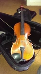 New 1/2 (half Size) Gliga Maestro Violin With Professional Setup. Fixed Price $2008.44.