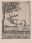 Etching Bookplate - Signed Martin Erich Philipp Siefried Hirsch 1921? Super. Fixed Price $295.00.