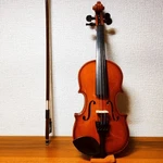 Beautiful Wood Suzuki NO.310 1/16 Violin 2011. Fixed Price $770.75.