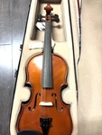 Palatino VN-450 Hand Crafted 4/4 Violin Hard Case Bow. Fixed Price $45.00.