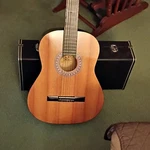 Burswood Classical Acoustic Guitar 6 String Brown With Case. Fixed Price $55.00.
