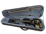 Vangoa Electric Violin W/ Case & Bow (ae-ch) (PPJ059895). Fixed Price $69.99.
