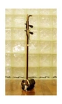 Concert Dunhuang Erhu Chinese 2-STRING Violin Fiddle Musical Instrument. Fixed Price $593.30.