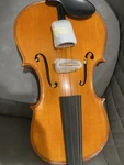 Otto Ernst Fischer Bianca Viola. Fixed Price $900.00.