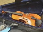 Black Mountain Strings V1000 3/4 Violin Serial 353463 - Natural. Fixed Price $249.99.