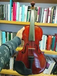 Realist RV5PEFA Pro 5-STRINGS Electro-acoustic Violin. Fixed Price $2100.00.