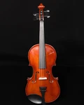 Palatino VN850 Vivance Dolce Violin Outfit, 4/4. Fixed Price $369.99.