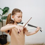Music Sale! Electric Violin Softshelled Hard Case, Wax, & More!!. Fixed Price $164.48.