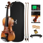 Violin 4/4 Full Size Hand Oil Rub Flamed Solidwood Kit Addario Cecilio Highly. Fixed Price $369.99.