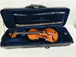 Cervini HV-100 Novice Violin Outfit 4/4 Size (P03065944). Fixed Price $119.99.