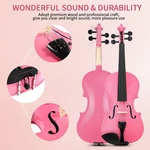New Violin 4/4 Acoustic With Case Bow Rosin Pink. Fixed Price $66.59.